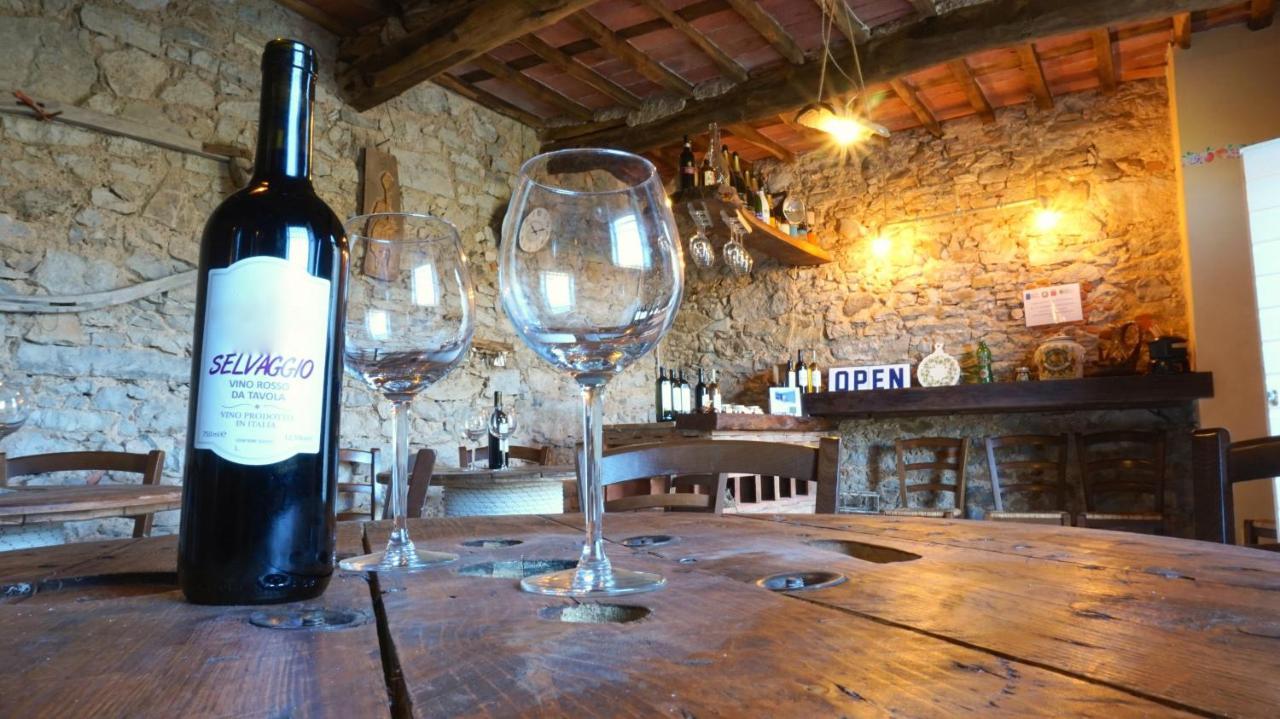 Agriturismo Le Vallilunghe Apartment Lucca Ngoại thất bức ảnh