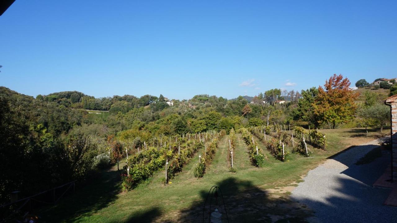 Agriturismo Le Vallilunghe Apartment Lucca Ngoại thất bức ảnh