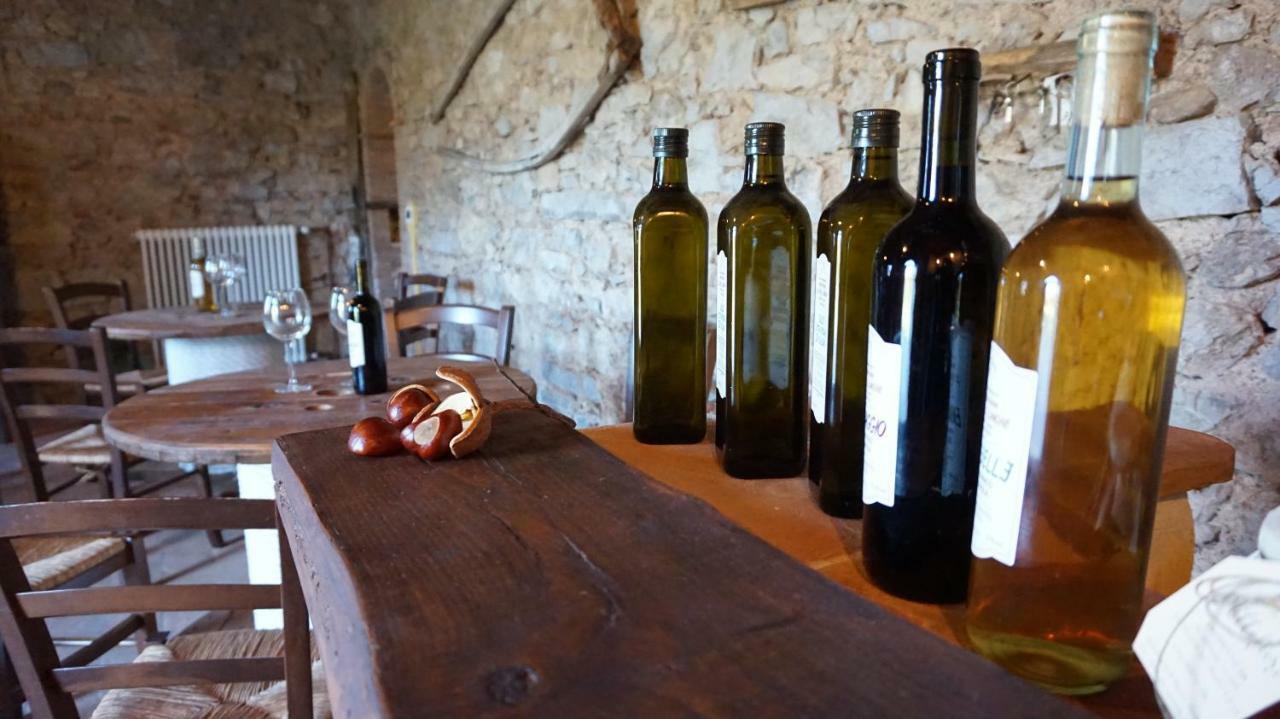 Agriturismo Le Vallilunghe Apartment Lucca Ngoại thất bức ảnh