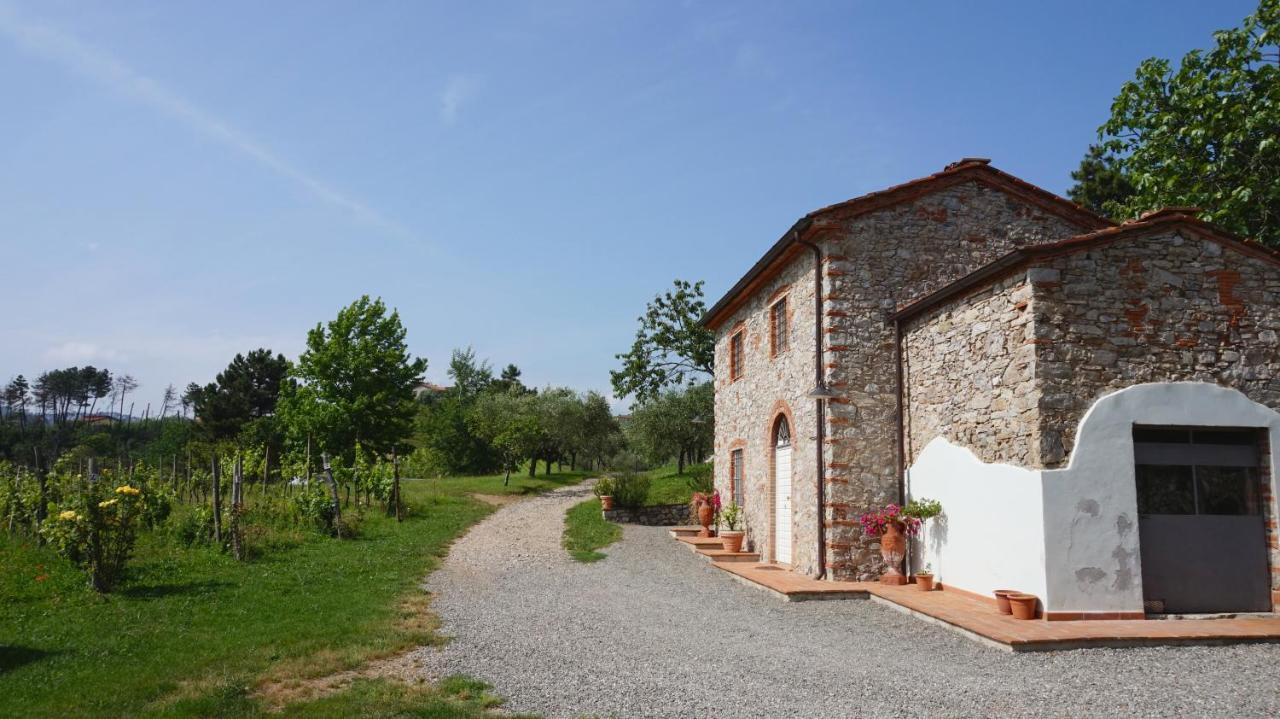 Agriturismo Le Vallilunghe Apartment Lucca Ngoại thất bức ảnh